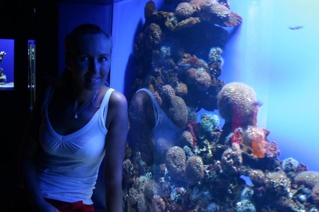 Aquarium - Playa de Palma
