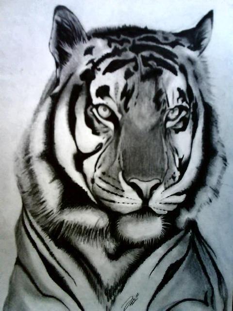 Rajzaim - tiger(2008.szep.18)