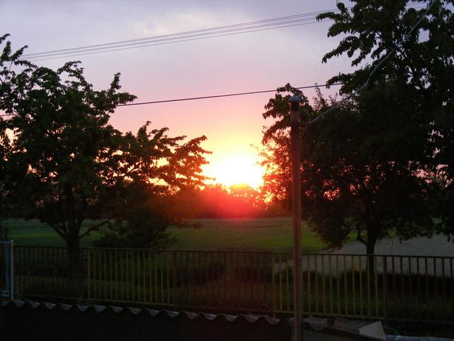 GYÖKEREIM - naplemente a kis-Dunánál (Szigetszentmiklós határán)