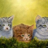 Három cica