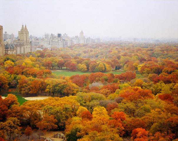 Az ősz káprázatos színei