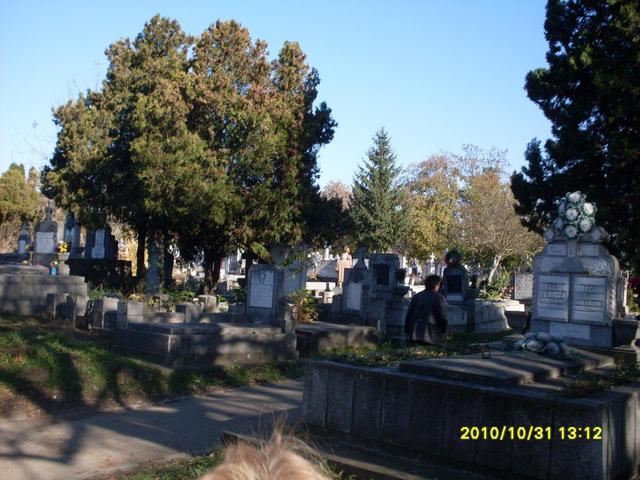 NAGYVÁRAD - Nagyváradi Rulikowski temető__kapott kép