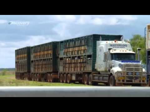 Ausztrál kamionosok