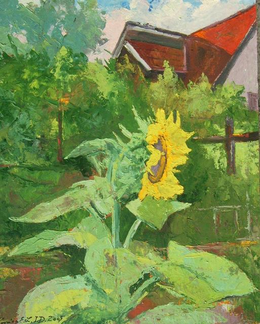 festmények, rajzok - Napraforgó a kertünkben