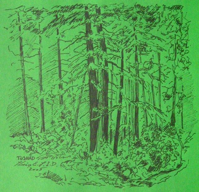 festmények, rajzok - Erdő-zöld alapon