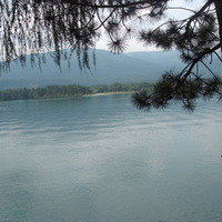 Salzkammerguti tó fenyőfával