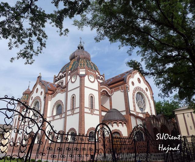 Synagogue-Szabadka