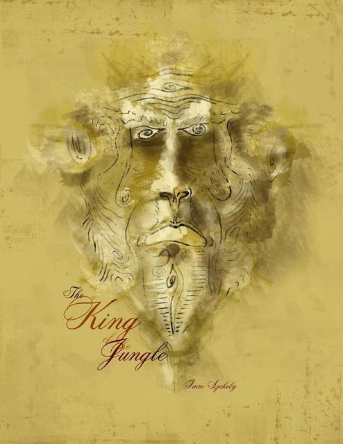 Illustrator, Photoshop munkak - A dzsungel királya