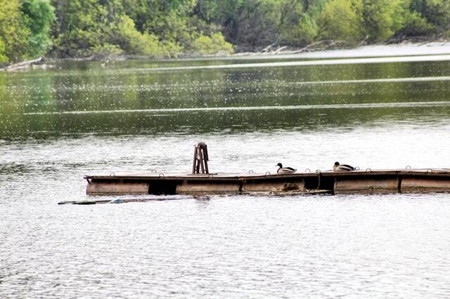 Mártély, Holt-Tisza tavasszal