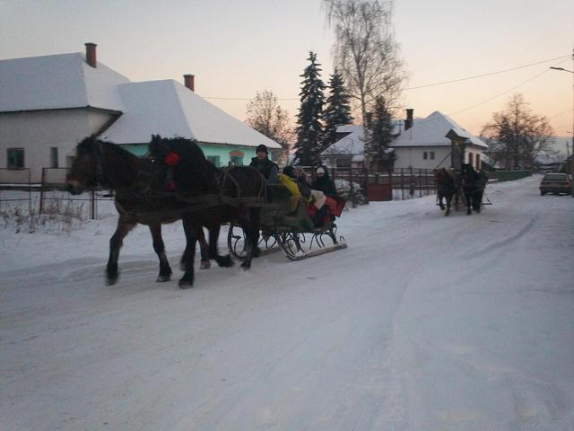 Gyergyóban télen - Gyergyószárhegy, a Lázár kastély felé igyekeznek a lovacskák