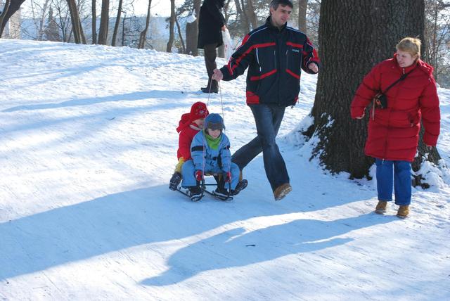 A tél örömei - Apukák szánkóhúzó versenye, elődöntő
