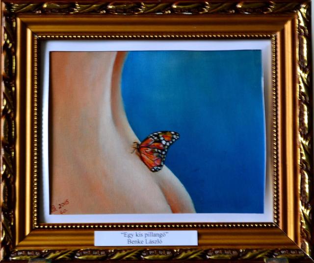 Festményeim - Egy kis pillangó