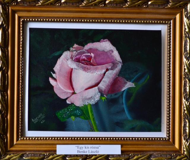 Festményeim - Egy kis rózsa