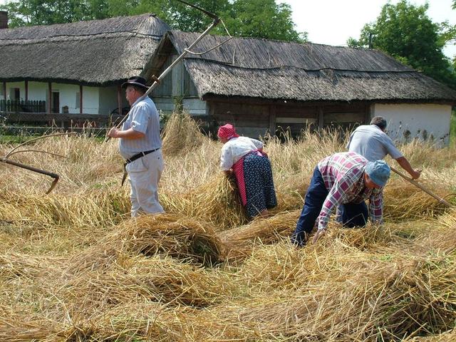 Aratási étkezési hagyományok