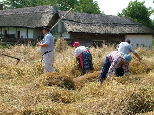 Aratási étkezési hagyományok