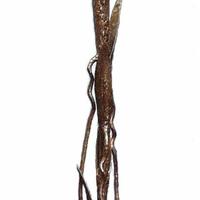 "Gyomnövény" - Bronz, 20x160 cm.