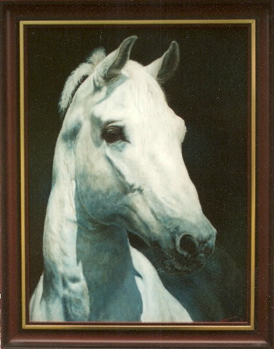 Festményeim: lovas képek - MÁRKA Tápiószentmártonból. 30x40cm olaj-fatábla