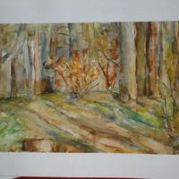Katona Edit / November Szikin / Aquarell