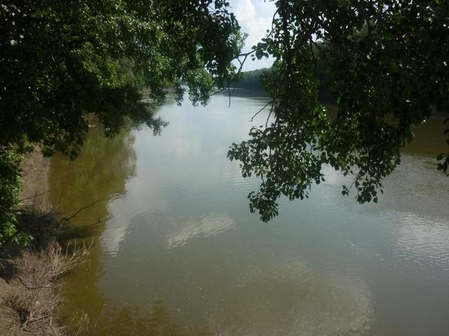 Bicajozás közben........ - az én folyóm,a Tisza