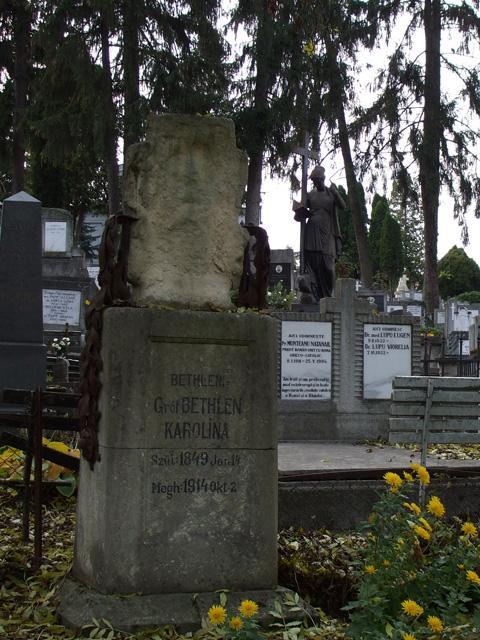 A Házsongárdi temetőben 2008-ban