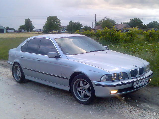 Én és az autók meg az élet.. - Fotó Készült 2003 BMW 535i V8 Kézi váltó 245Le