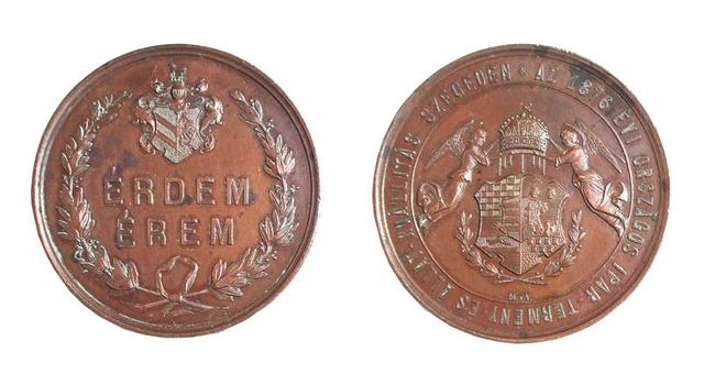 Plakettek, érmék a múltból... - Érdemérem egy 1876-os országos termékkiállításról