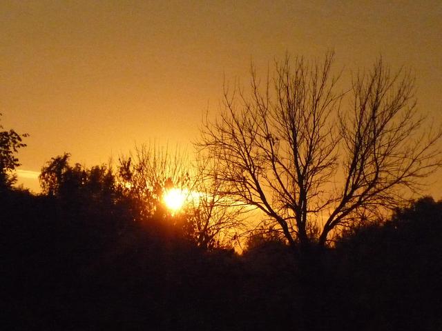 Őszi képek,...termések.... - Gyönyörű őszi naplemente.2.