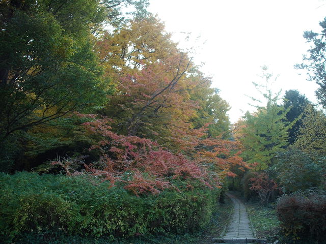 Az ősz szépségei