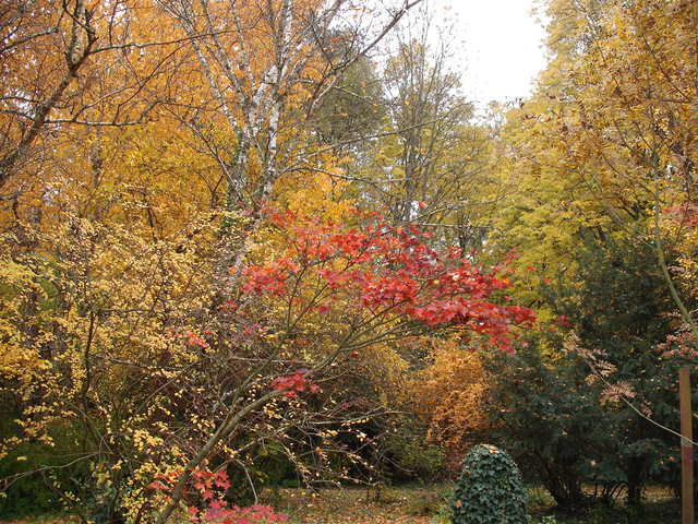 Az ősz szépségei
