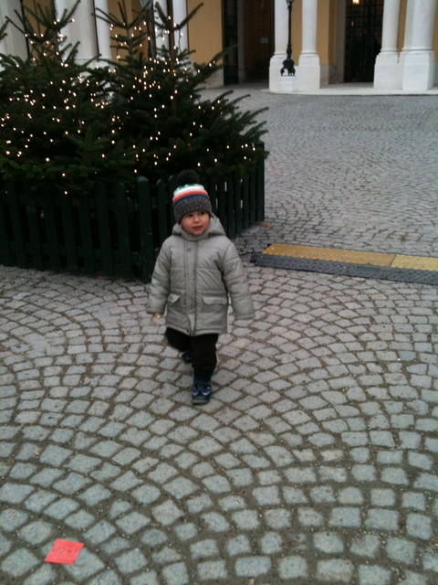 Stefan - Karácsonyi vásár a Schönbrunni palotánál