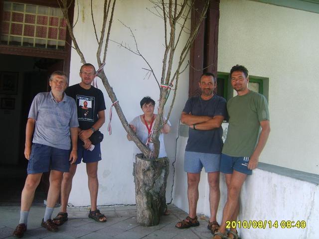 izolda - idegenvezetek Koltón - az öreg somfa mellett