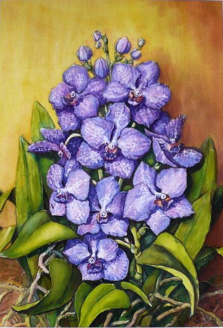 Festményeim, orchideák - Orchideák sorozat