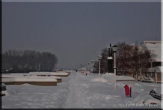 Tél, 2012 Törökbecse