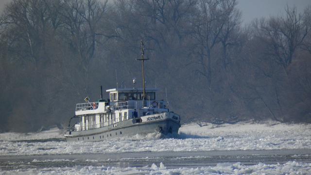 Tél 2012, Dunakeszi - névtelen