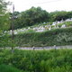 Ugyancsak Nógrádban,temető a domboldalban