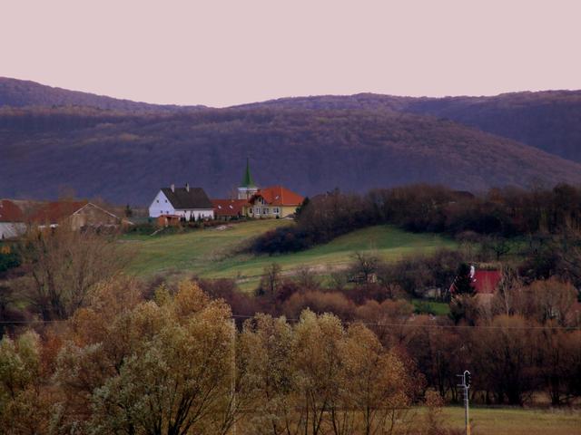 Szűkebb hazám. - névtelen