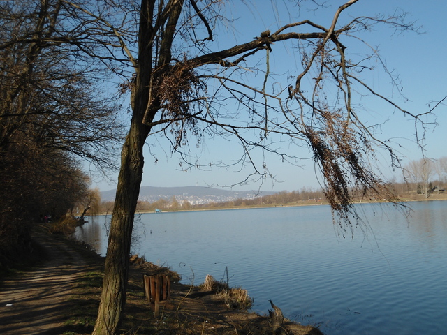 Kirándulás, Pécs- Malomvölgyi tó