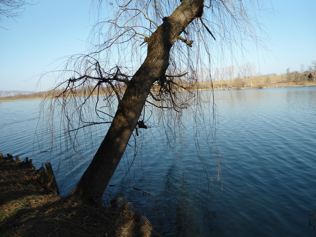 Kirándulás, Pécs- Malomvölgyi tó