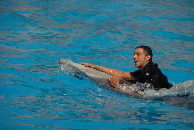 Loro Parque - Tenerife