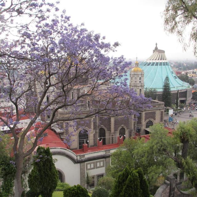 keresztek - Villa de Guadalupe,Nueva Basilica, és Parroquia de Capuchinas
