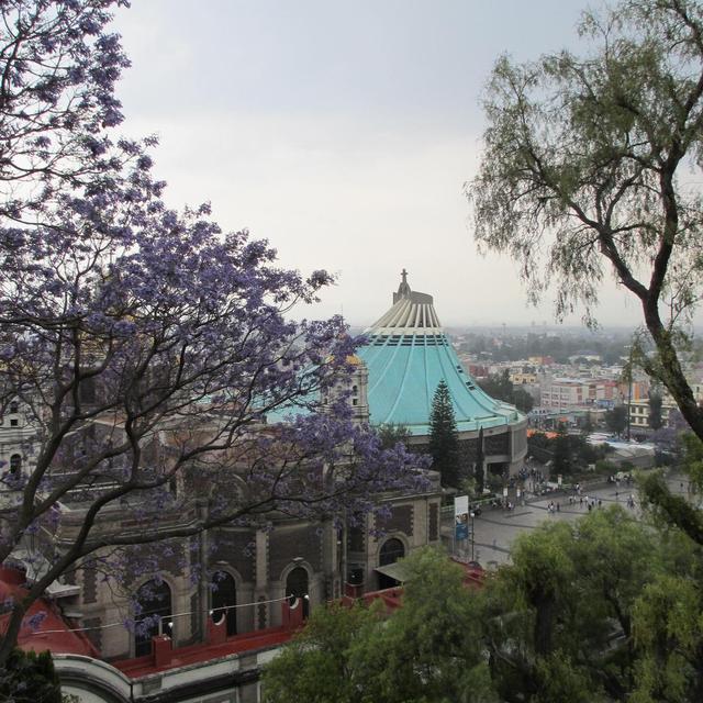 keresztek - Villa de Guadalupe,Nueva Basilica