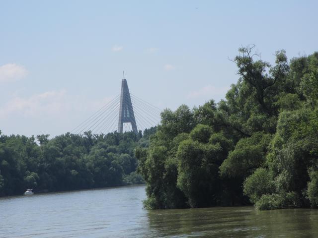 Csendes Csodák - Megyeri híd
