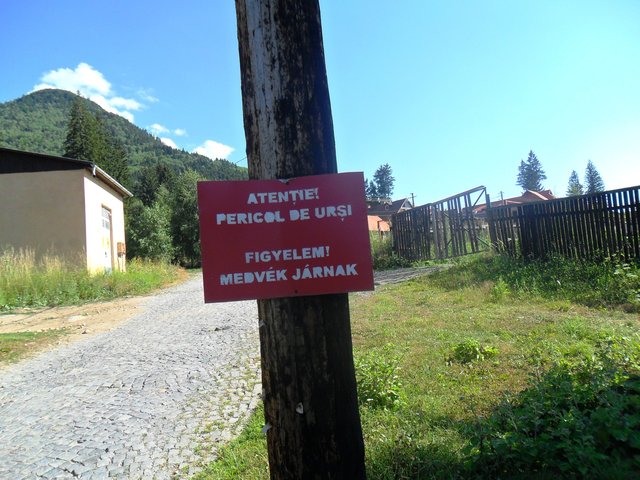 Gyalogtúra Tusnád-Szent Anna tó-Mohos tőzegláp - Még az ilyen tábláktól sem szabad megrettenni