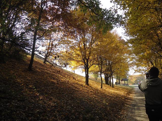 Szép Magyarország - őszi fények