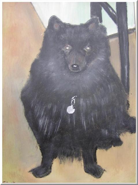 festészet - Dámo der Hund