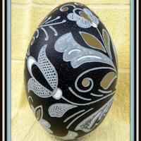 Korondi - gravírozott emu tojás, saját színében.