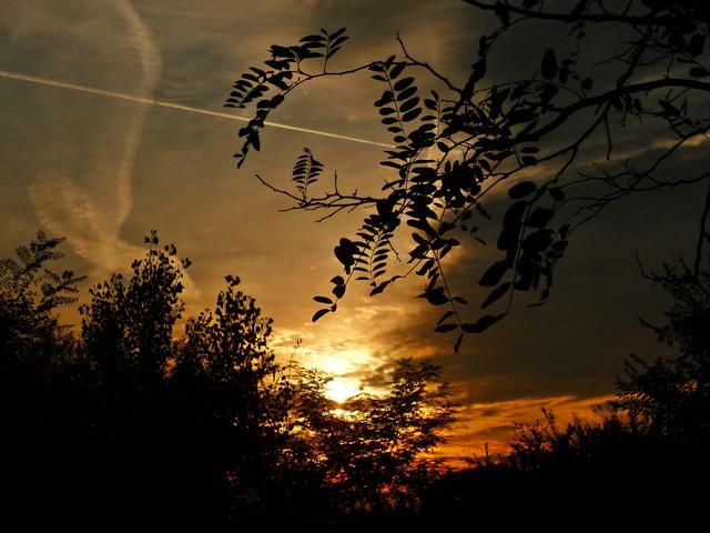 Őszi barangolásaim 2012 - Gyönyörű őszi naplemente.....