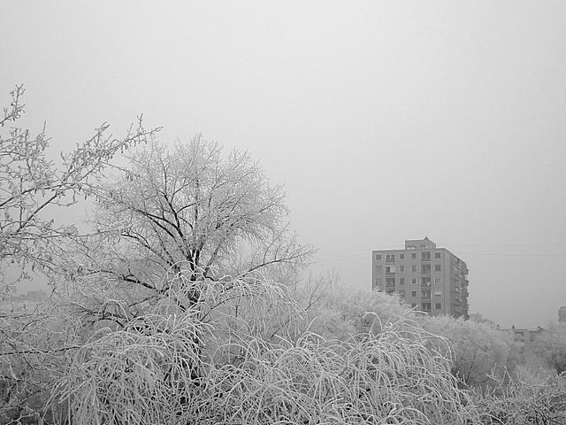 Téli Ködben a Városom ....... - névtelen