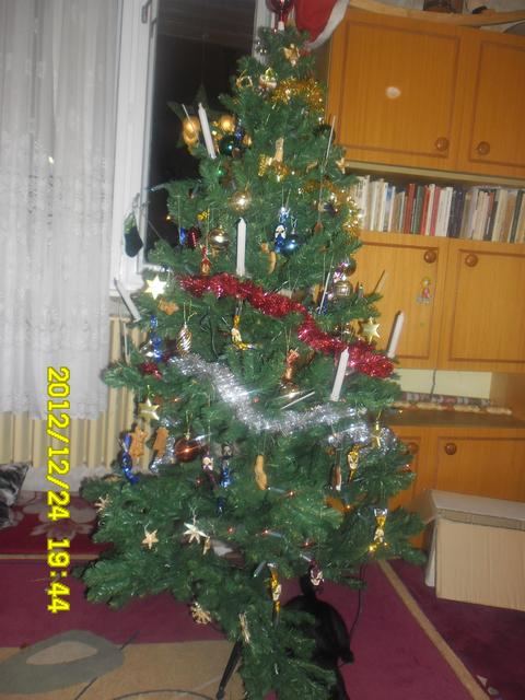 2012 karácsonya - a fa...és a macska