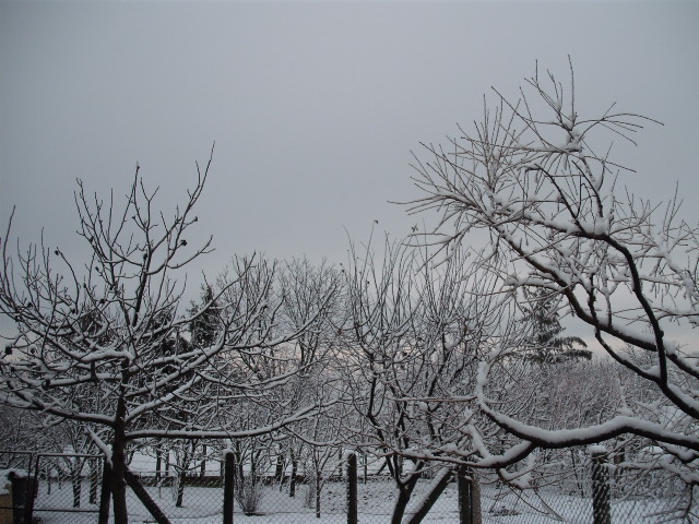 Télről 2013